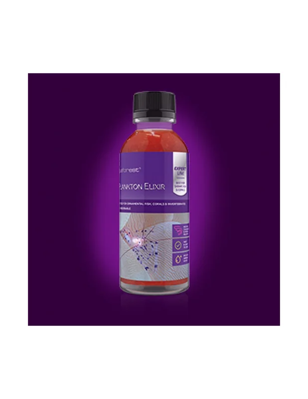 bellacoral881140