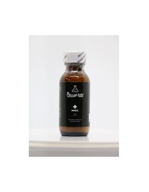 bellacoral881808