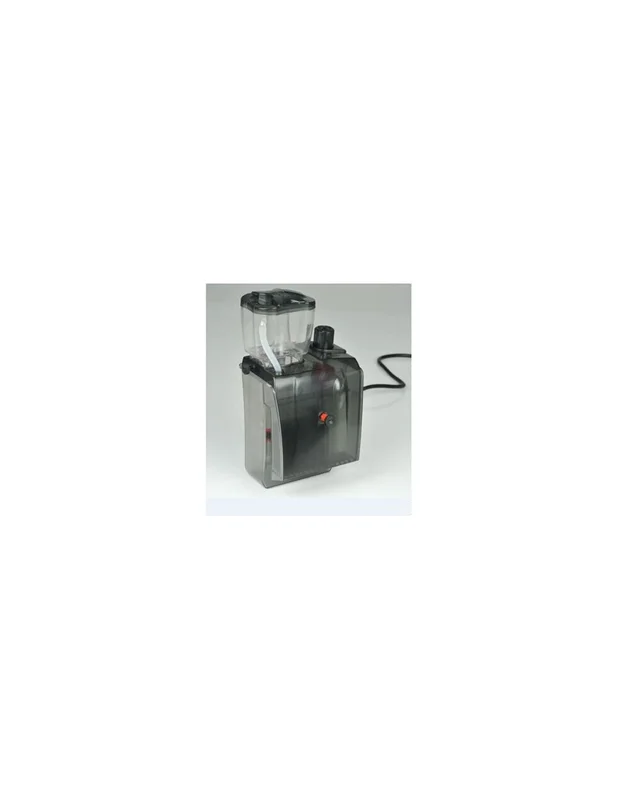 bellacoral882145