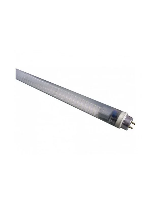 bellacoral883805