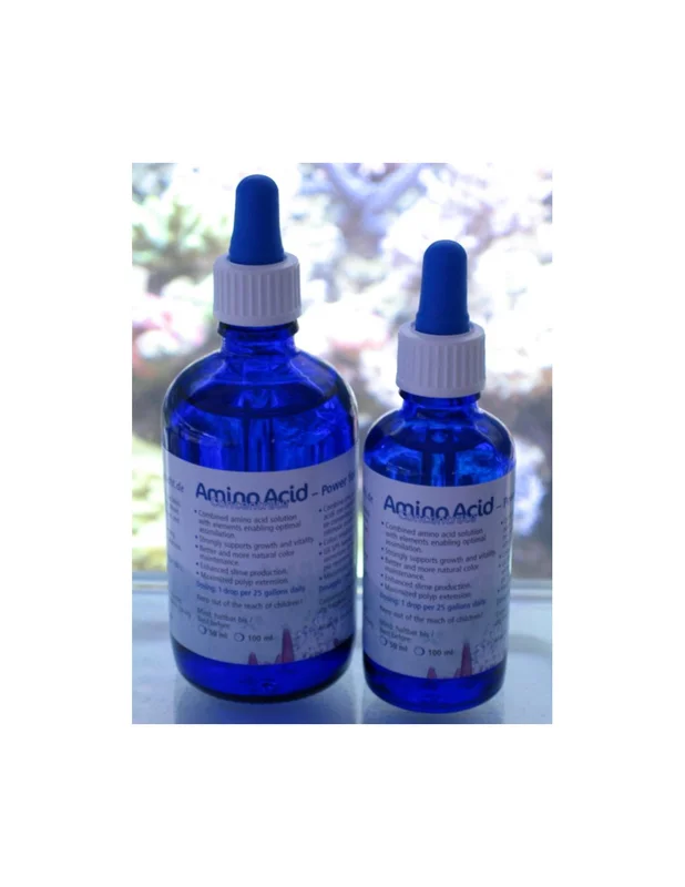bellacoral884136