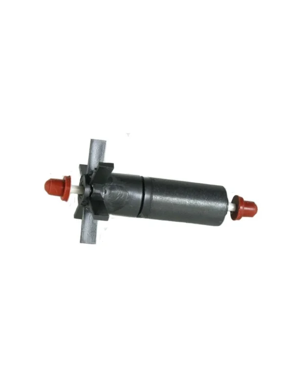 bellacoral884294