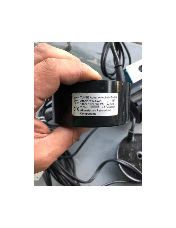 bellacoral884542
