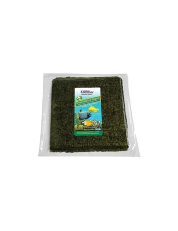bellacoral885253