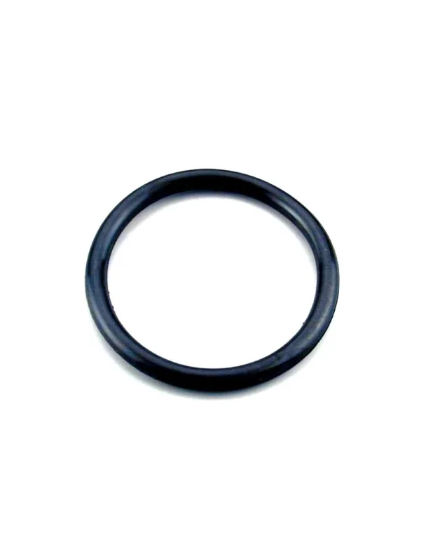 bellacoral885580