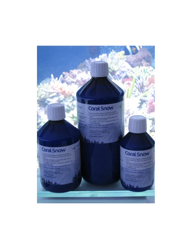 bellacoral885688