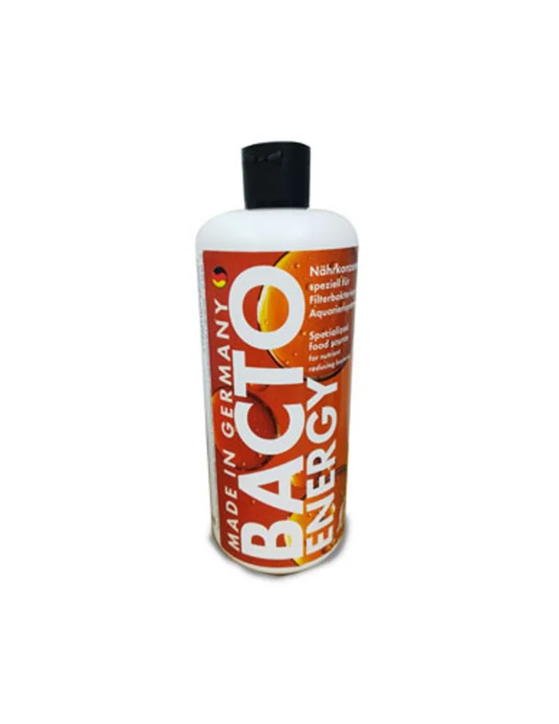 bellacoral885788