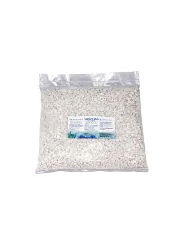 bellacoral885875