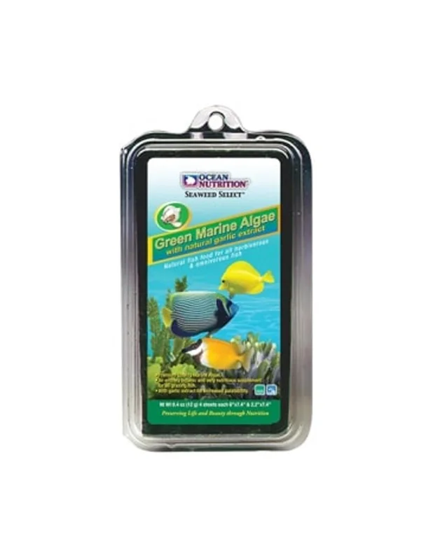bellacoral886026