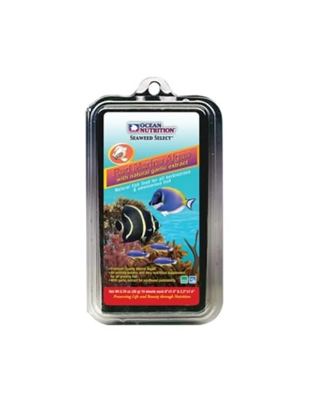 bellacoral886039