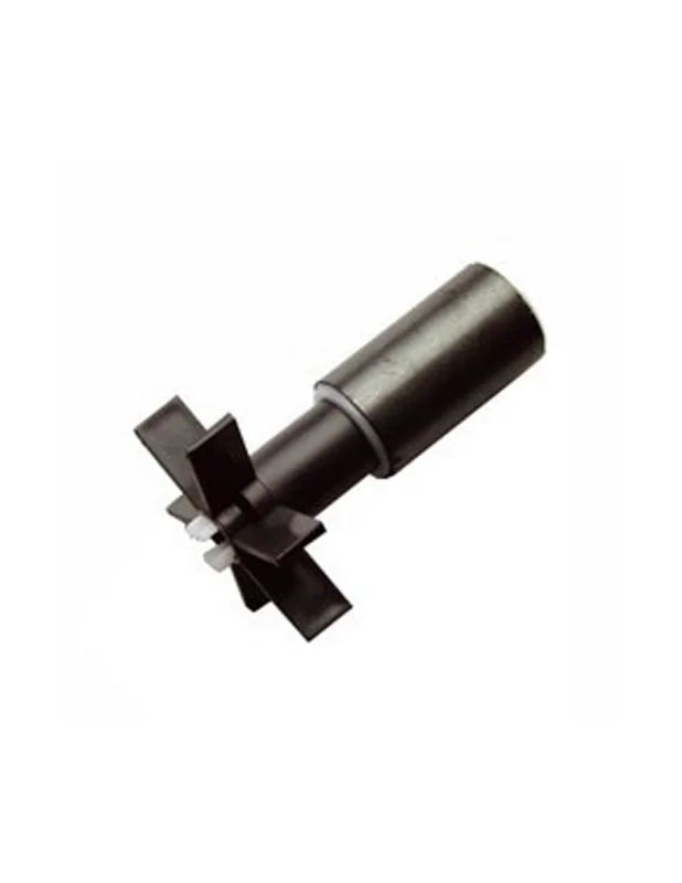 bellacoral886058