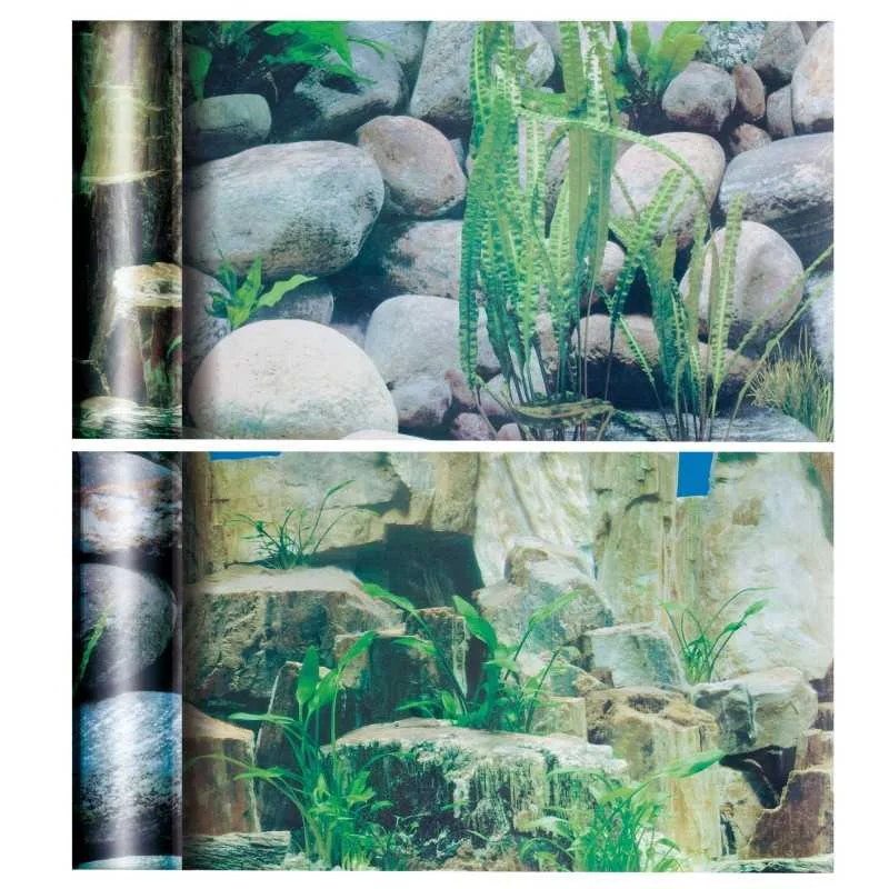 fatyzoo826111