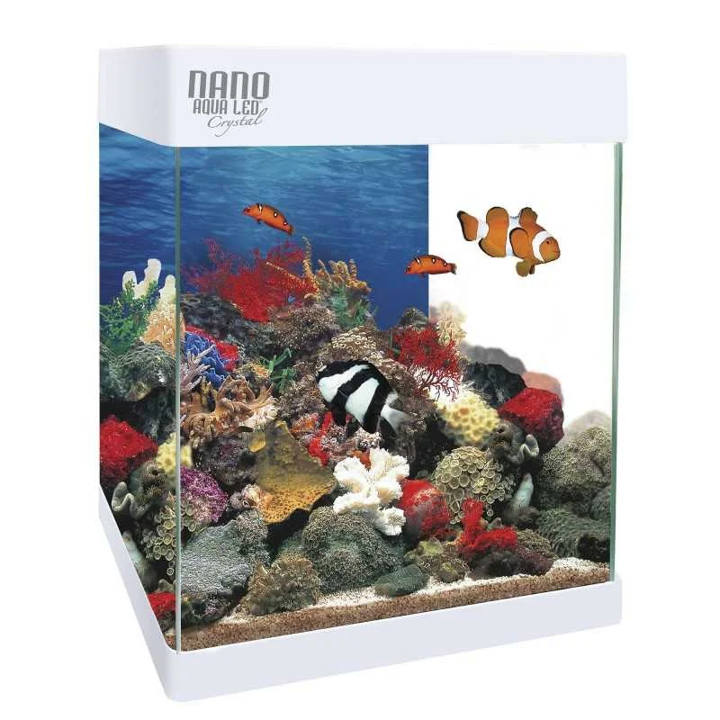 fatyzoo826151