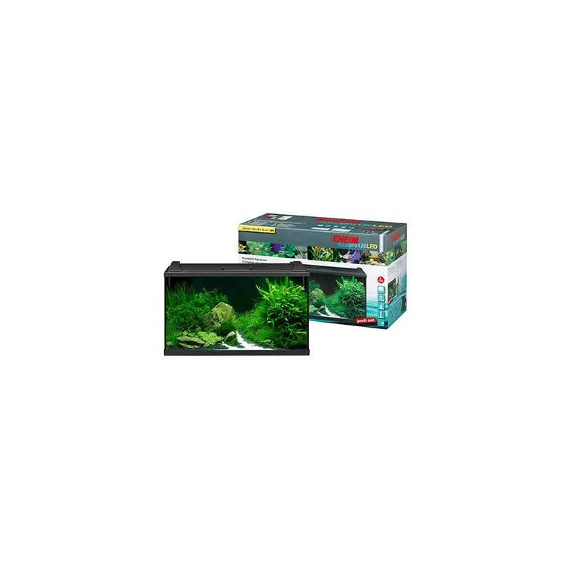 fatyzoo826744