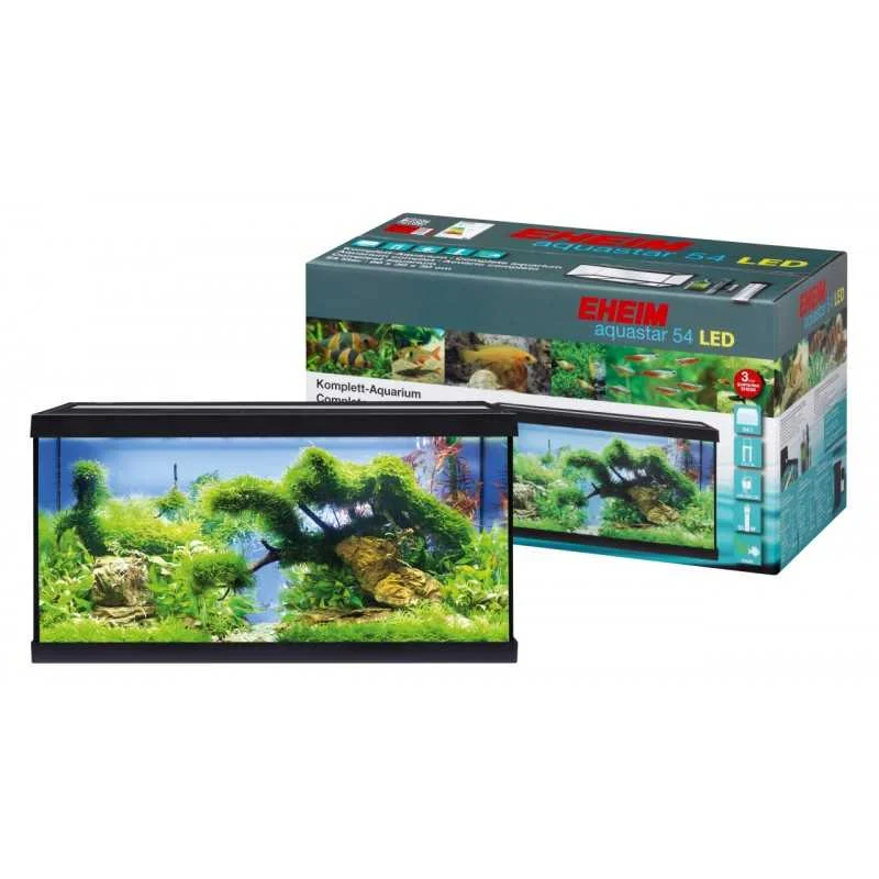 fatyzoo827980
