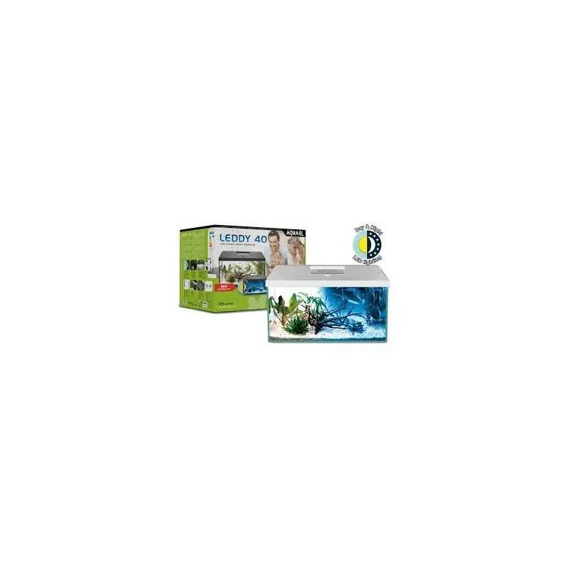 fatyzoo828061