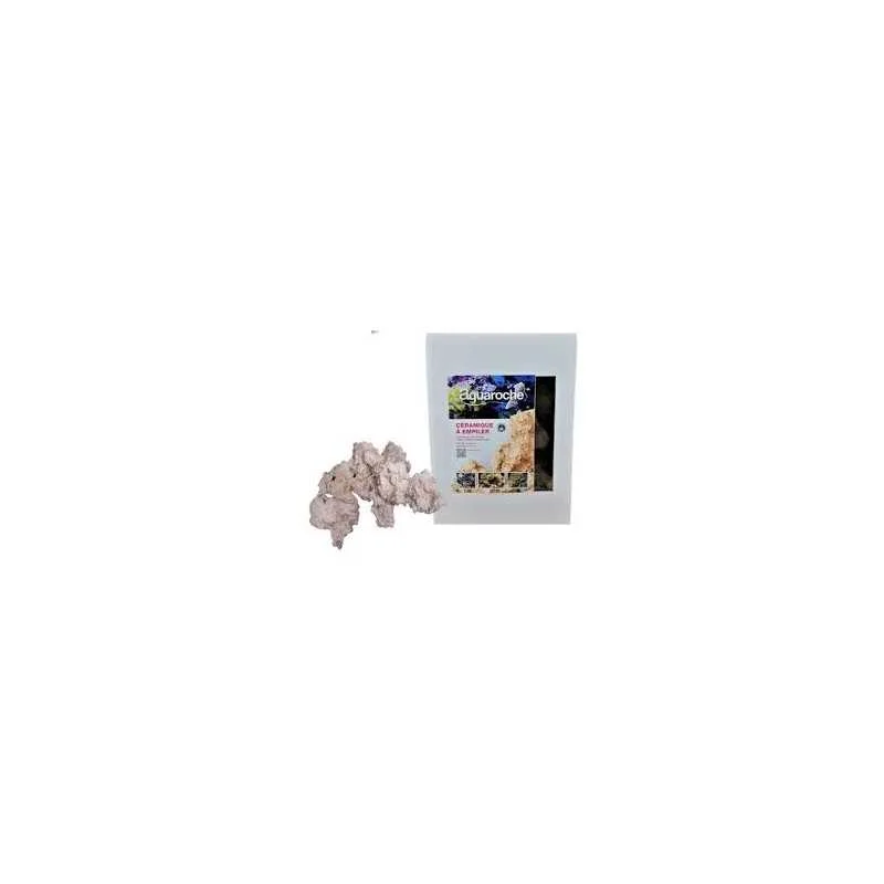 fatyzoo829828