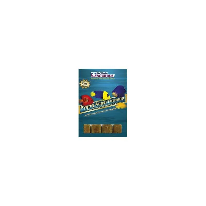 fatyzoo834170