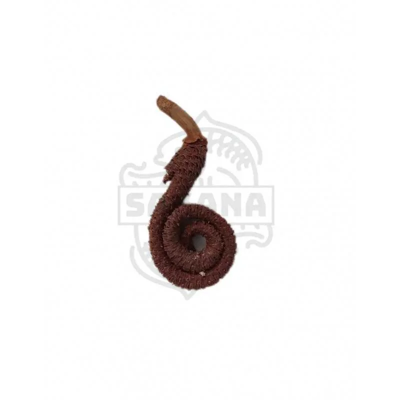 fatyzoo846536