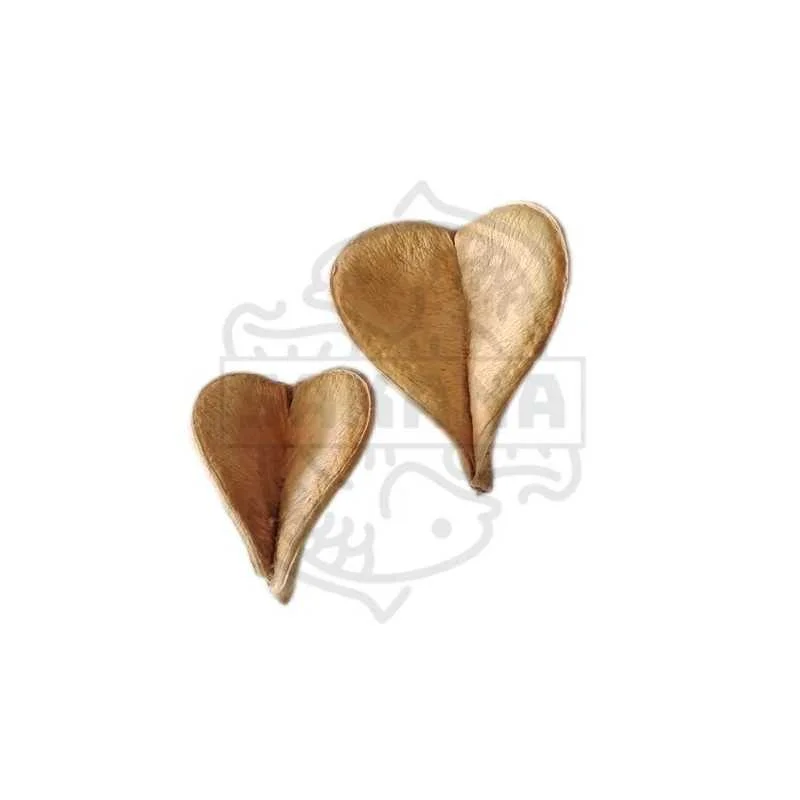 fatyzoo846759