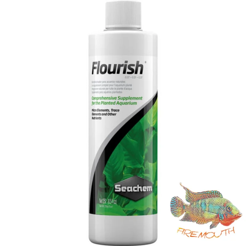 firemouthaquaristic824632