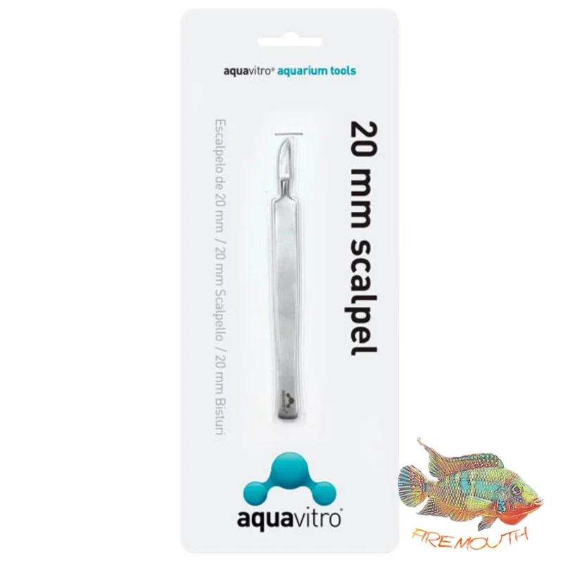 firemouthaquaristic824909