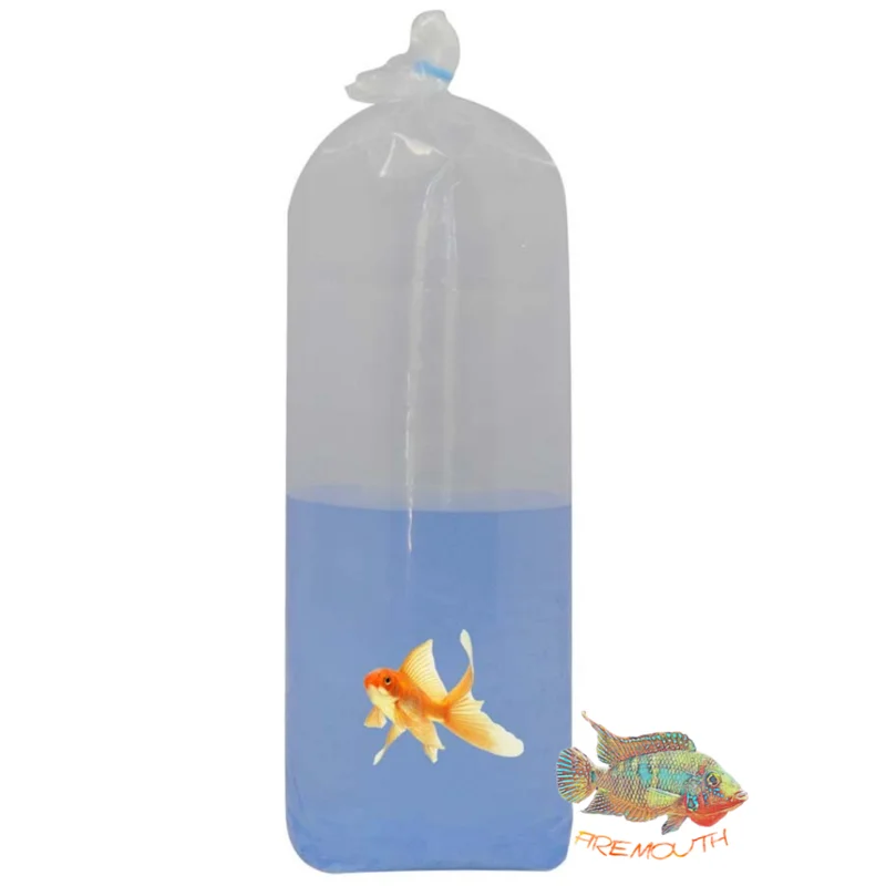 firemouthaquaristic827883