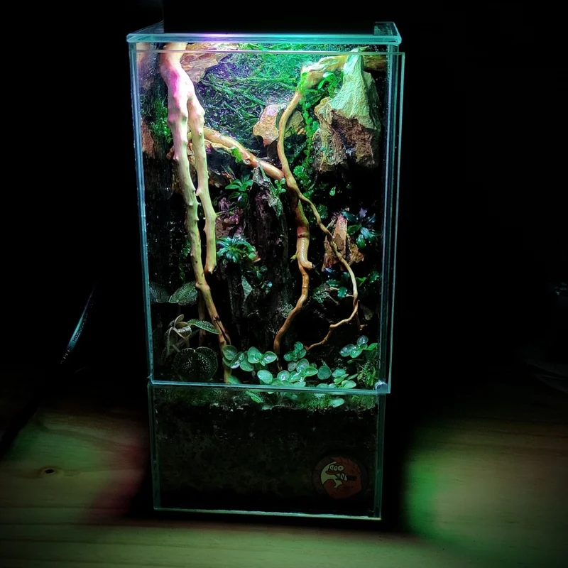 firemouthaquaristic831657
