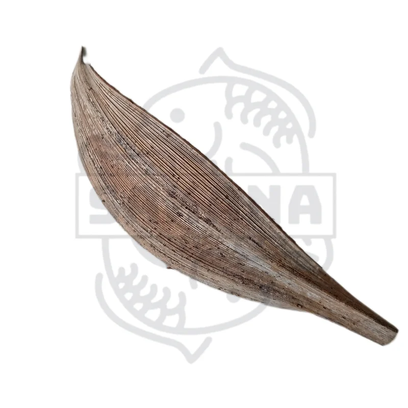 firemouthaquaristic832231