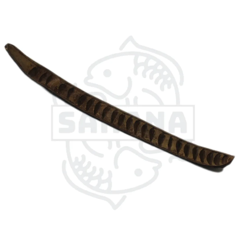 firemouthaquaristic832545