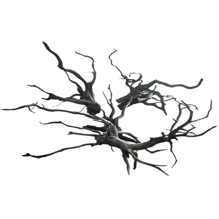 firemouthaquaristic835151