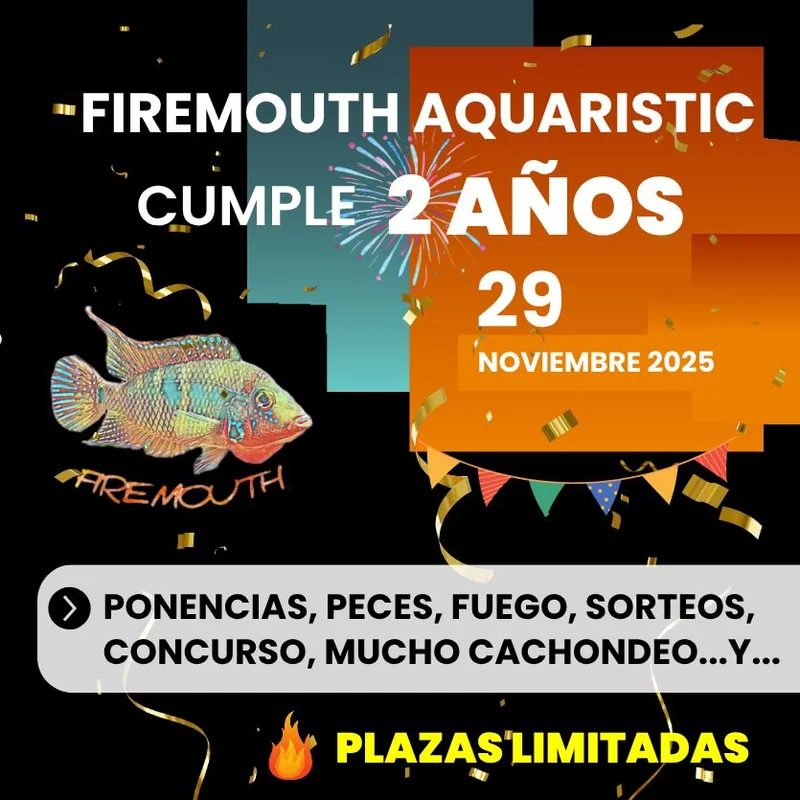 firemouthaquaristic838608