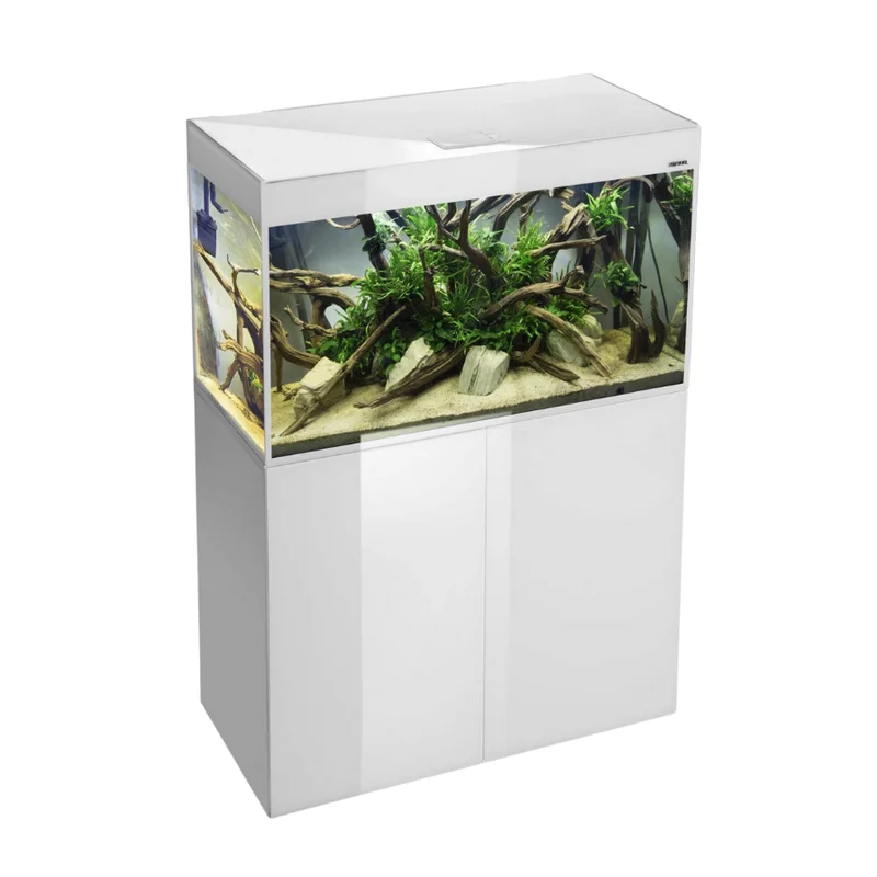 firemouthaquaristic846324