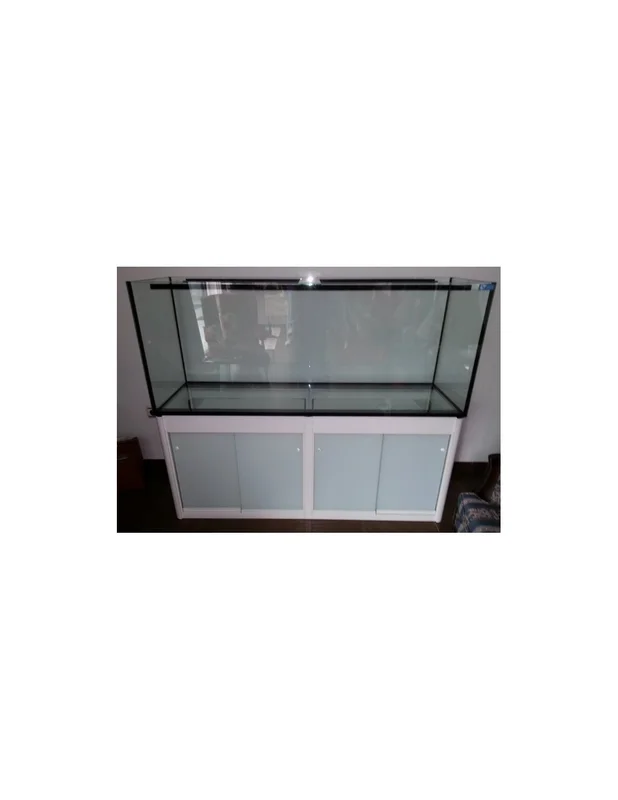 furiousfish112813