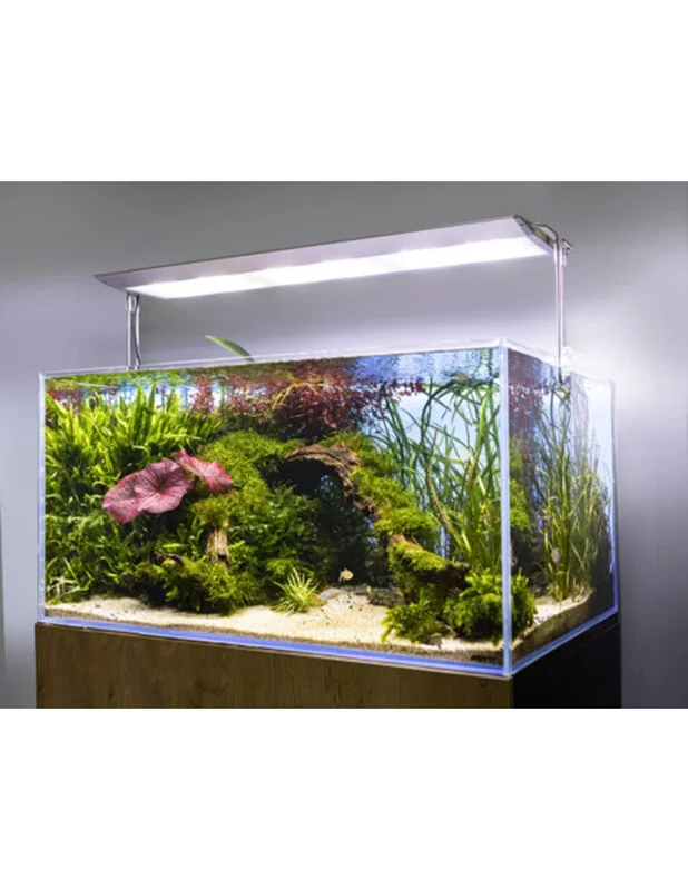 furiousfish123730