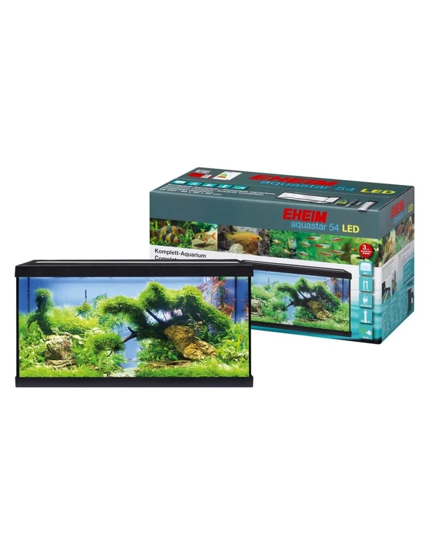 furiousfish124400