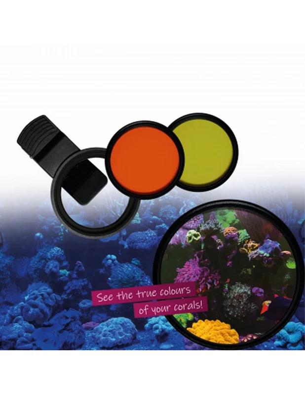 furiousfish125451