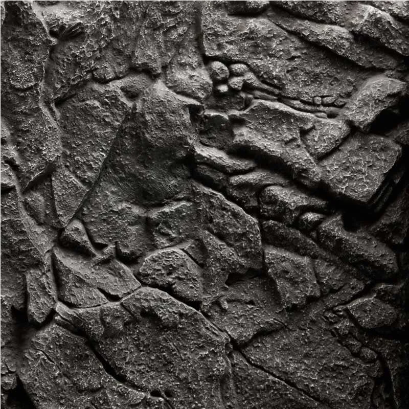 la-boutique-des-animaux191984