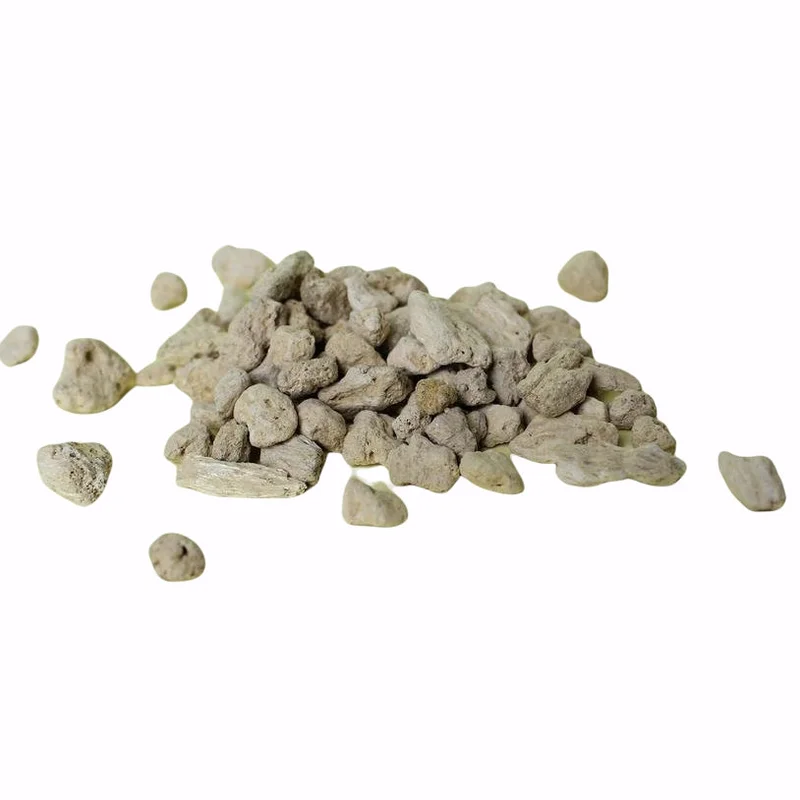littletreedesignbiotopes824606