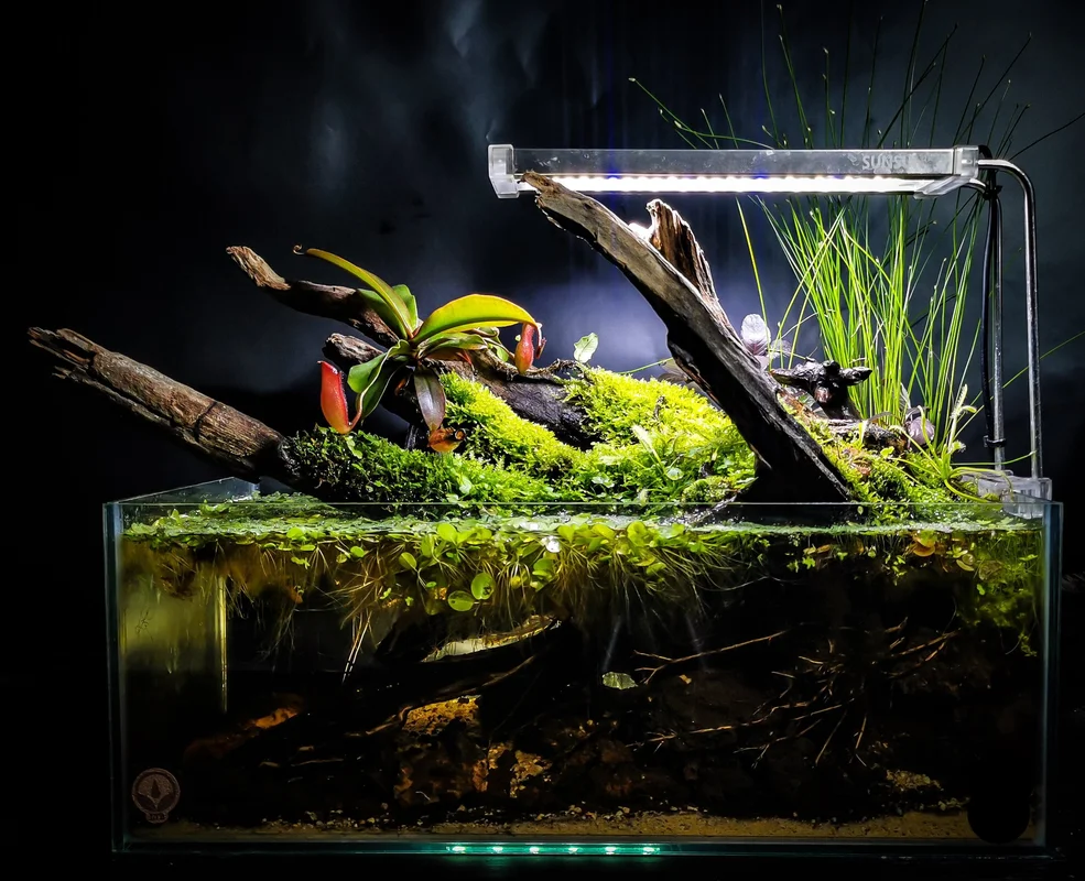 littletreedesignbiotopes826533