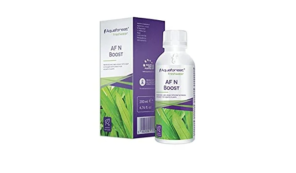 littletreedesignbiotopes826641