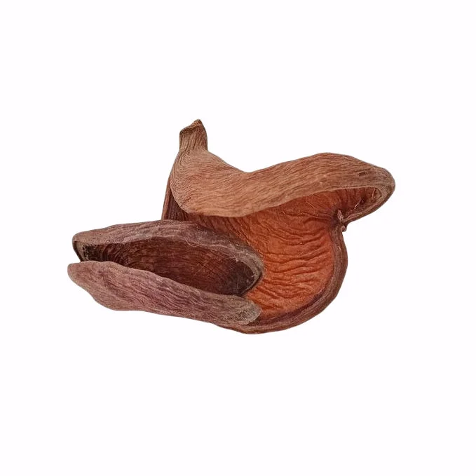 littletreedesignbiotopes828023