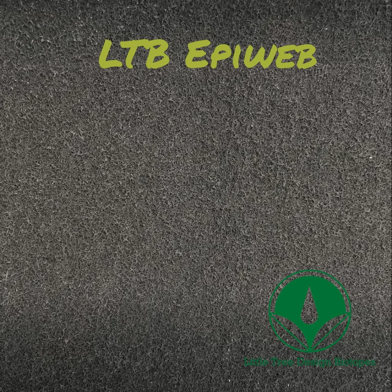 littletreedesignbiotopes830418