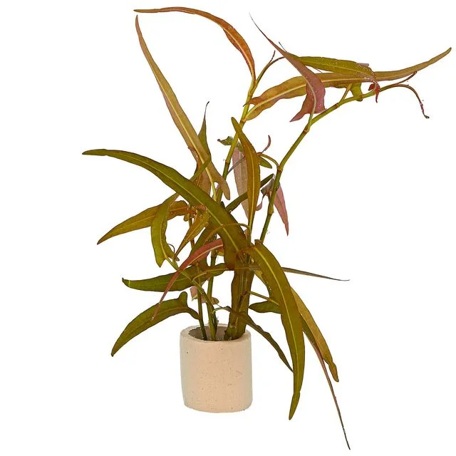 littletreedesignbiotopes830756