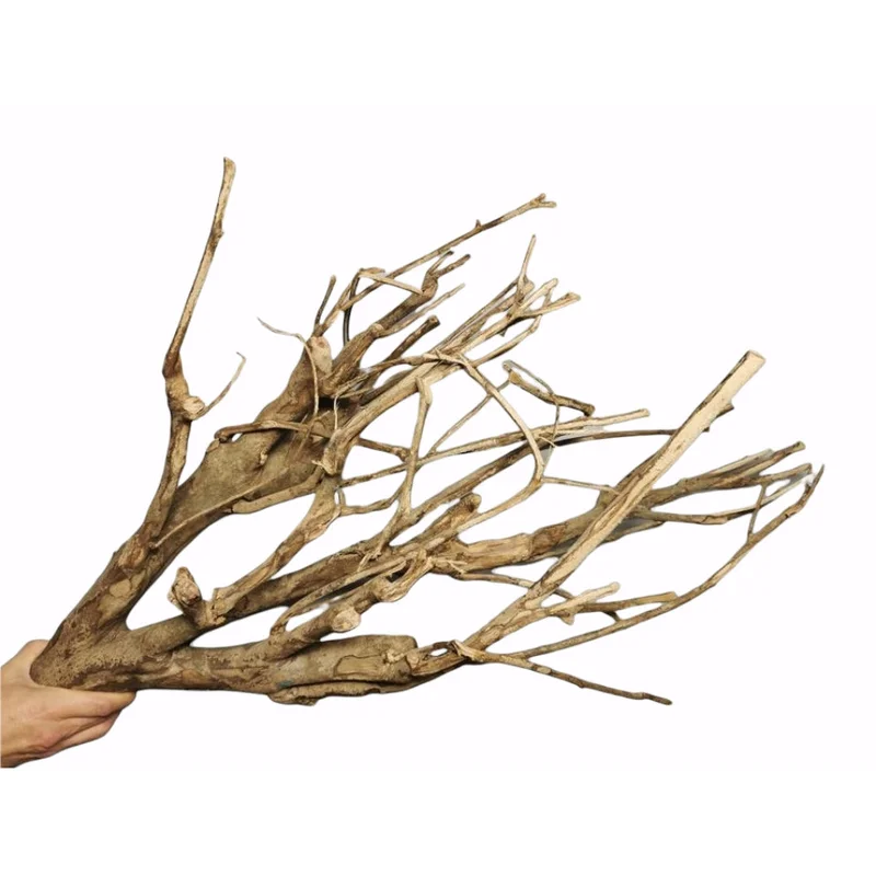 littletreedesignbiotopes830819