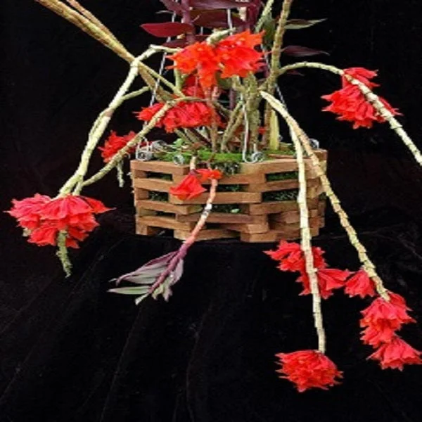 littletreedesignbiotopes832058