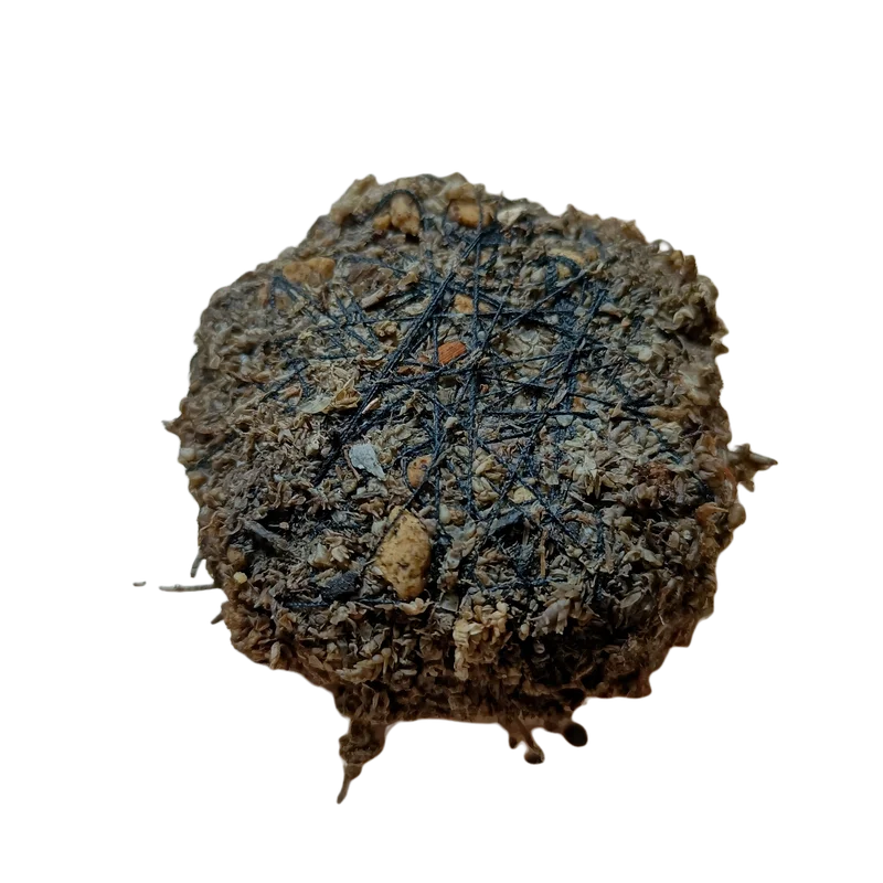 littletreedesignbiotopes832997