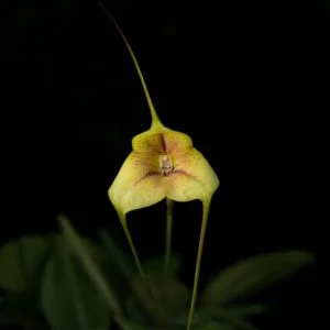 littletreedesignbiotopes833050