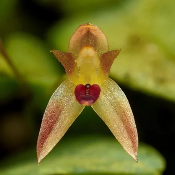 littletreedesignbiotopes833897
