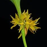 littletreedesignbiotopes834246